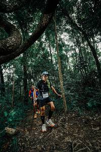 BIB: 
                            <button type="button" onclick="openModal(25391606)" class="btn btn-primary btn-sm float-right btn-popup" data-toggle="modal" data-target=".modal-high-quality">
                        <i class="fas fa-shopping-cart"></i> Add to Cart
                    </button>
                                            <button type="button" onclick="isThisMe(25391606, true)" class="btn btn-success btn-sm float-right btn-popup btn-isme hidden" data-toggle="tooltip" data-placement="bottom" title="นี่คือรูปของคุณใช่ไหม คลิกที่นี่เพื่อเอาเข้าอัลบั้ม">
                        <i class="fas fa-plus"></i> Add to album
                    </button>
                    <button type="button" onclick="isThisMe(25391606, false)" class="btn btn-warning btn-sm float-right btn-popup btn-isnotme hidden">
                        <i class="fas fa-ban"></i> Remove from album
                    </button>